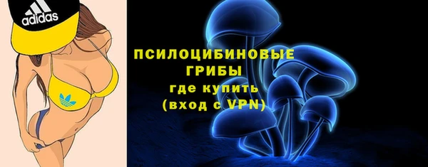 COCAINE Богородск