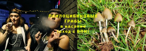 соль курить ск Богданович