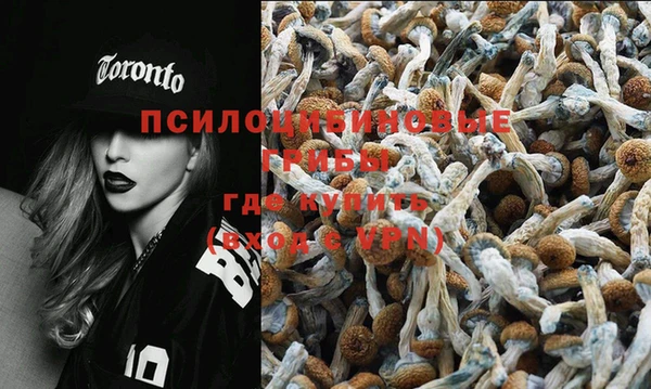 соль курить ск Богданович